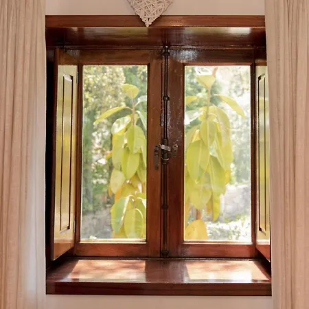 Esquina 204 - Connected With Nature- Uchill * Riba de Ancora