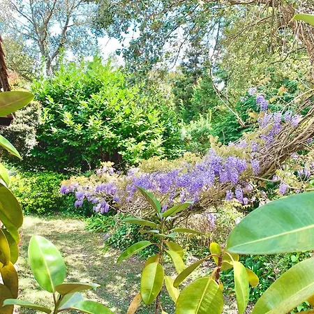 度假居 Esquina 204 - Connected With Nature- Uchill