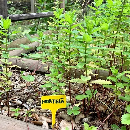 펜션 Esquina 204 - Connected With Nature- Uchill *