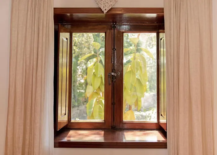 Esquina 204 - Connected With Nature- Uchill * Riba de Âncora