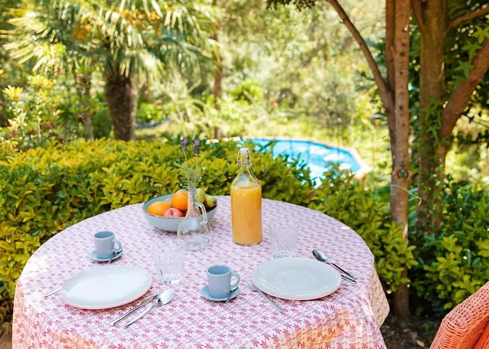 Esquina 204 - Connected With Nature- Uchill *