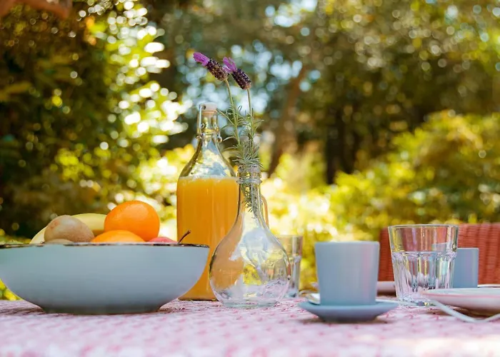 Esquina 204 - Connected With Nature- Uchill *