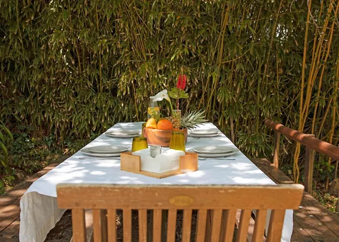 Esquina 204 - Connected With Nature- Uchill