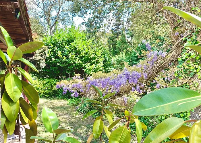 Ferienhaus Esquina 204 - Connected With Nature- Uchill