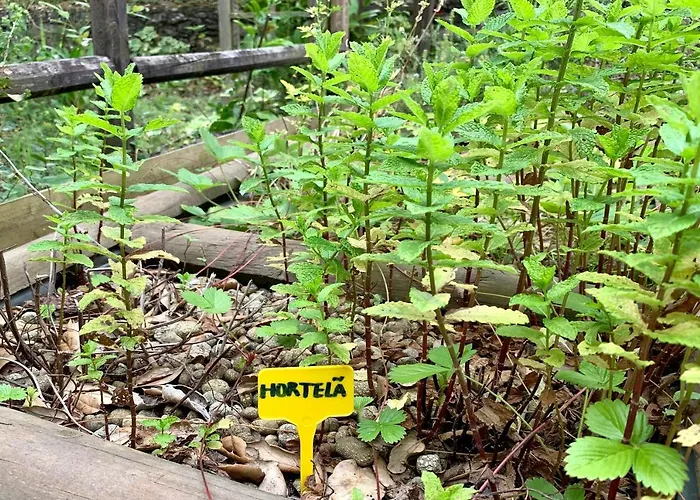 Ferienhaus Esquina 204 - Connected With Nature- Uchill *